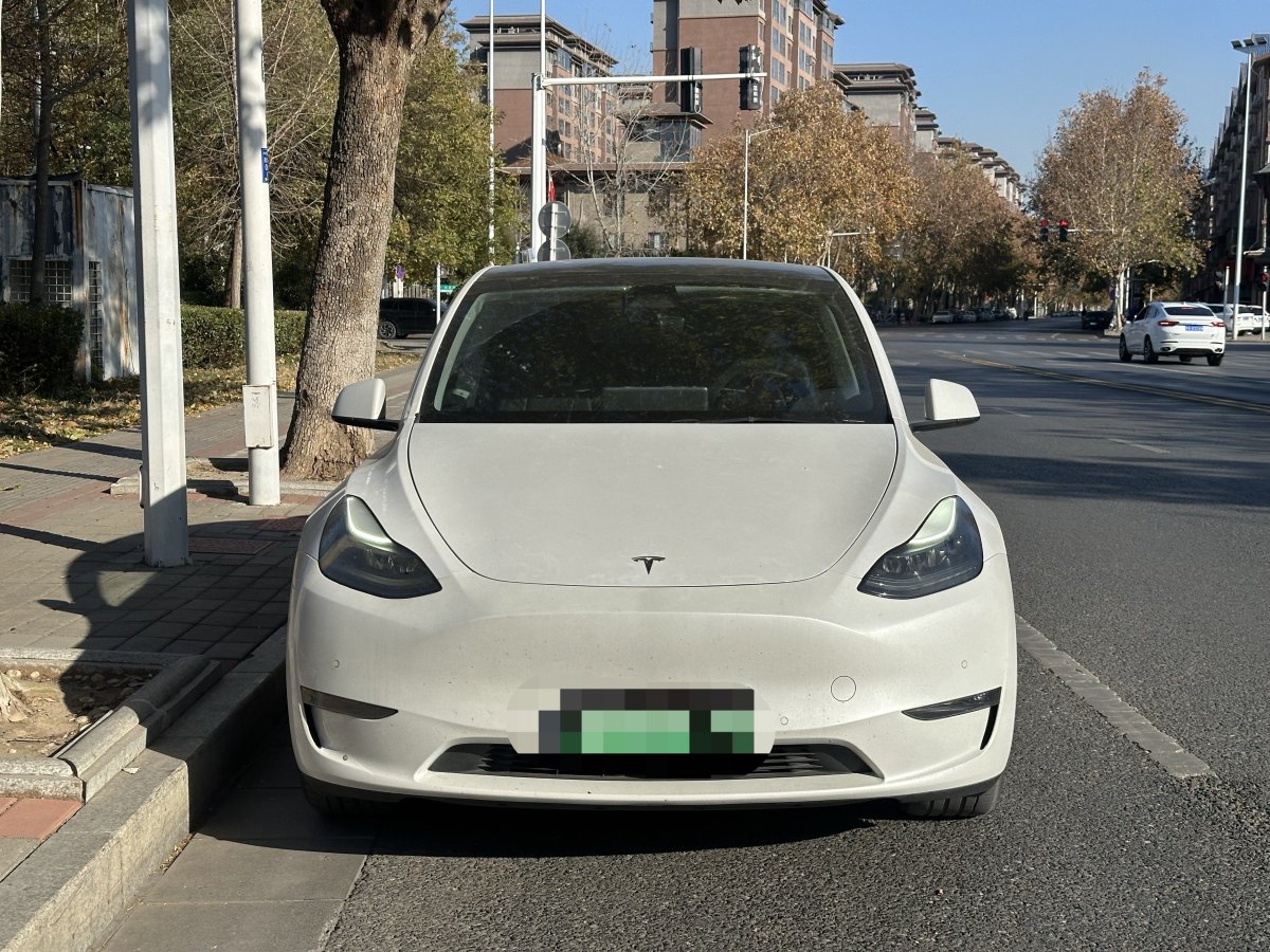 特斯拉 Model 3  2021款 改款 標準續(xù)航后驅升級版圖片