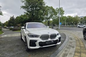 宝马X6 宝马 改款 xDrive40i 尊享型 M运动套装