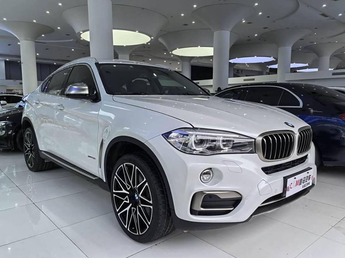 寶馬 寶馬X6  2017款 xDrive35i 領(lǐng)先型圖片