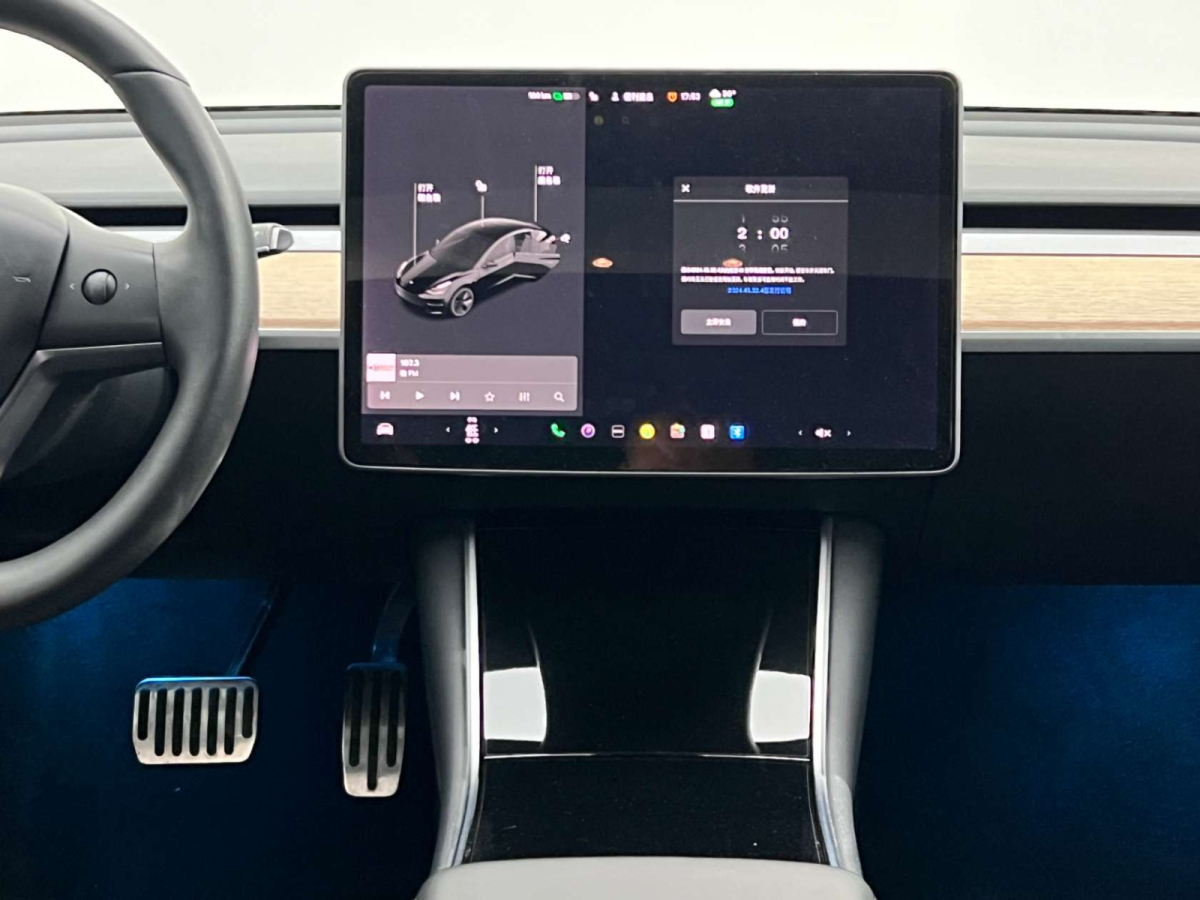 特斯拉 Model 3  2019款 標(biāo)準(zhǔn)續(xù)航后驅(qū)升級版圖片