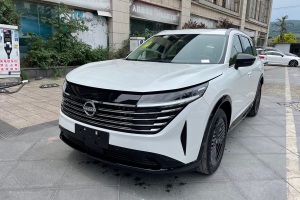 探陸 日產(chǎn) 380VC-TURBO 四驅(qū)智駕版 6座
