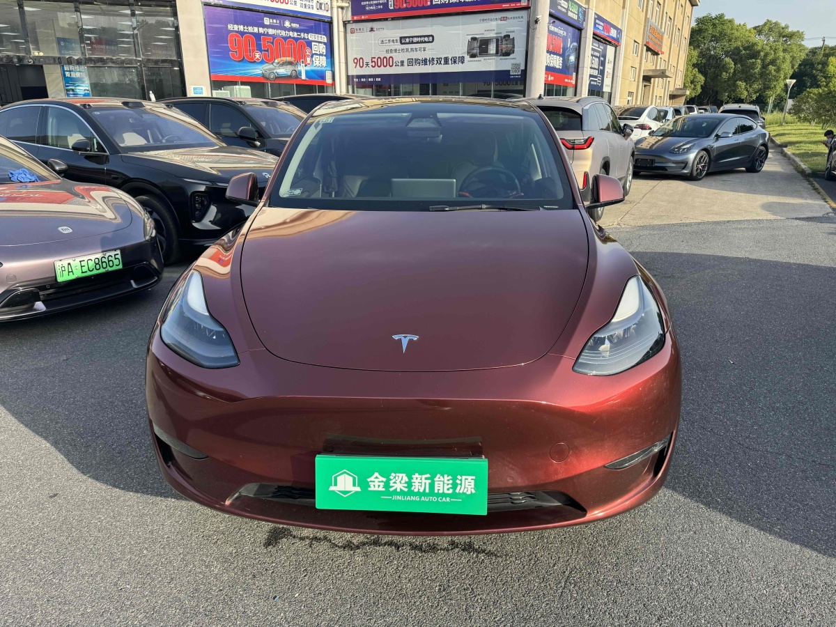 特斯拉 Model Y  2021款 標(biāo)準(zhǔn)續(xù)航后驅(qū)版圖片