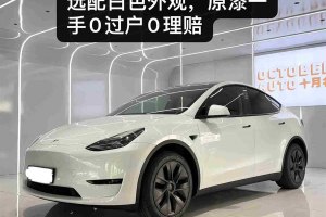 Model Y 特斯拉 后輪驅(qū)動(dòng)版