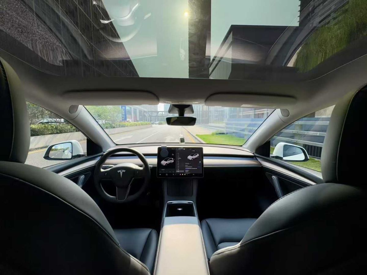 特斯拉 Model S  2021款 Performance 高性能版圖片