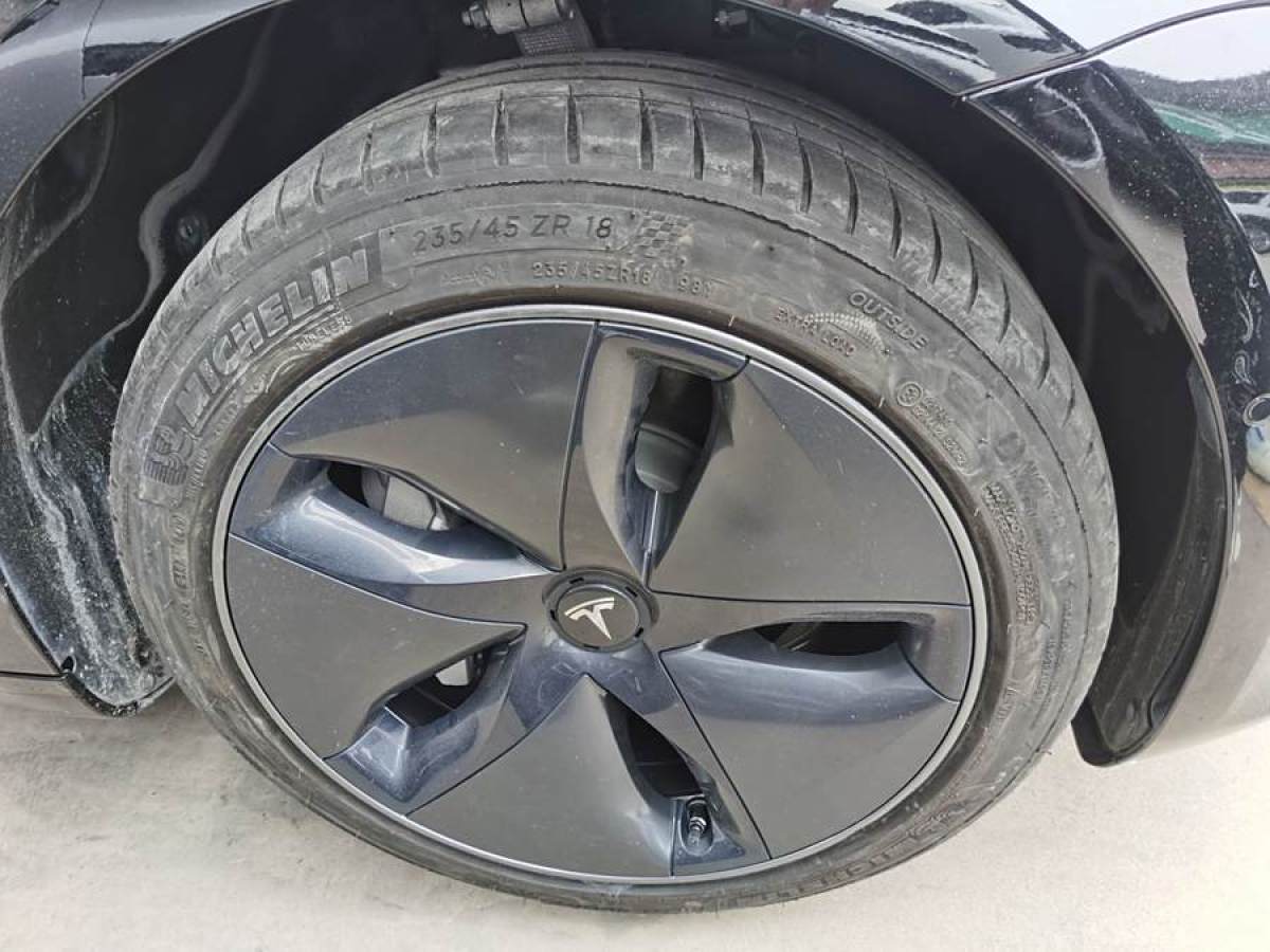 特斯拉 Model 3  2019款 標(biāo)準(zhǔn)續(xù)航后驅(qū)升級(jí)版圖片