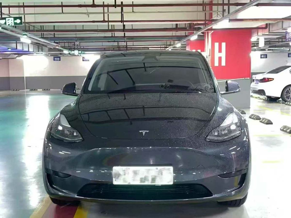 特斯拉 Model Y  2024款 Performance高性能版圖片