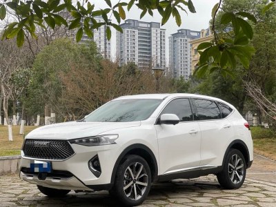 2021年4月 哈弗 F7 1.5T 兩驅i型圖片