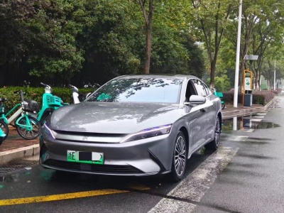 2022年04月 比亚迪 汉 EV 标准续航版豪华型图片