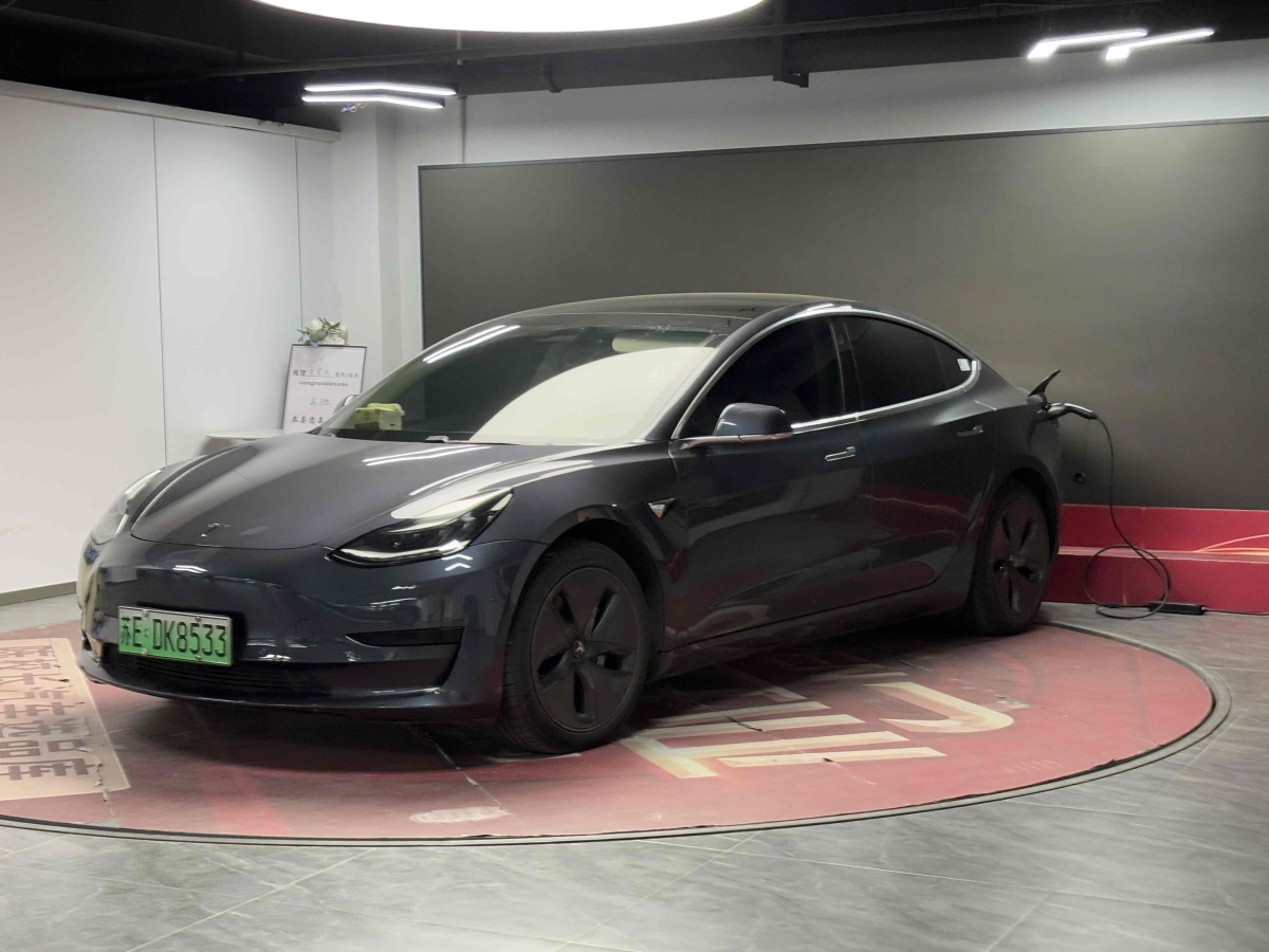 特斯拉 Model 3  2019款 標(biāo)準(zhǔn)續(xù)航后驅(qū)升級(jí)版圖片