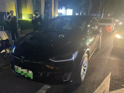 2019年6月 特斯拉 Model X 長續(xù)航版圖片