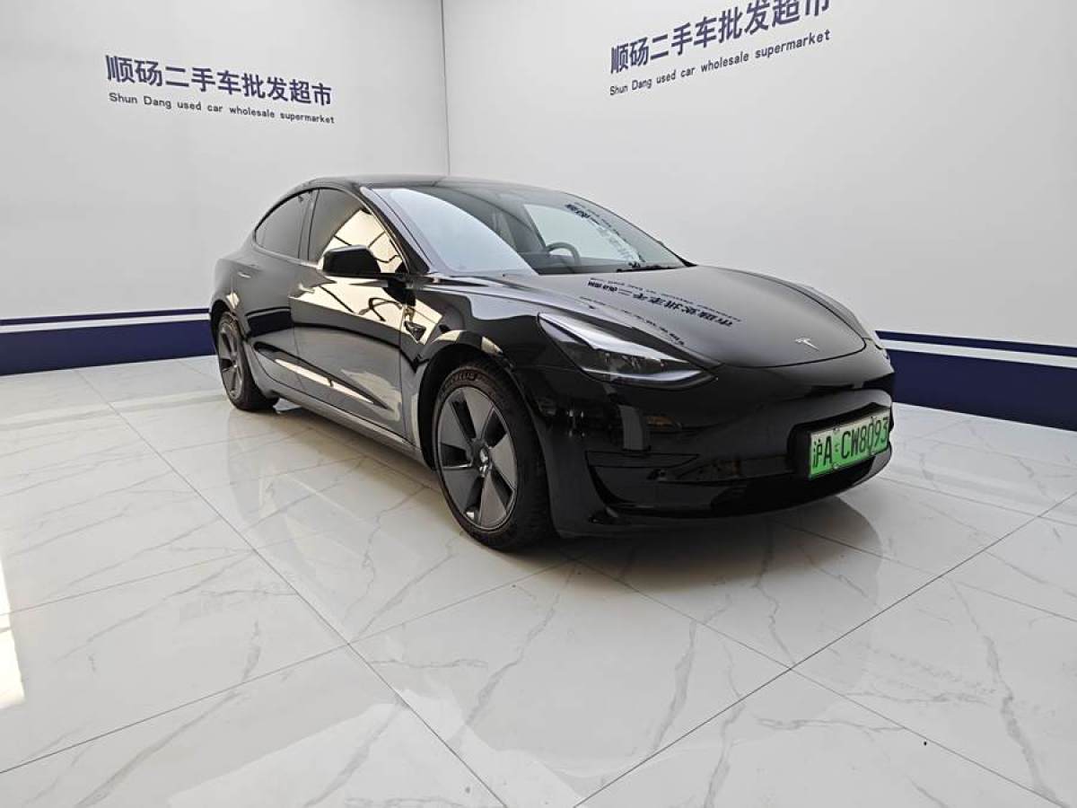 2023年1月特斯拉 Model 3  2022款 改款 后輪驅(qū)動(dòng)版