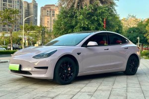 Model 3 特斯拉 改款 標(biāo)準(zhǔn)續(xù)航后驅(qū)升級(jí)版
