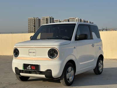 2024年10月 吉利 熊貓mini 200km 耐力熊圖片