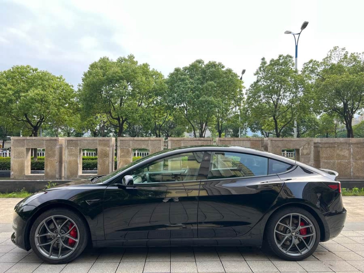 特斯拉 Model 3  2022款 Performance高性能全輪驅動版圖片