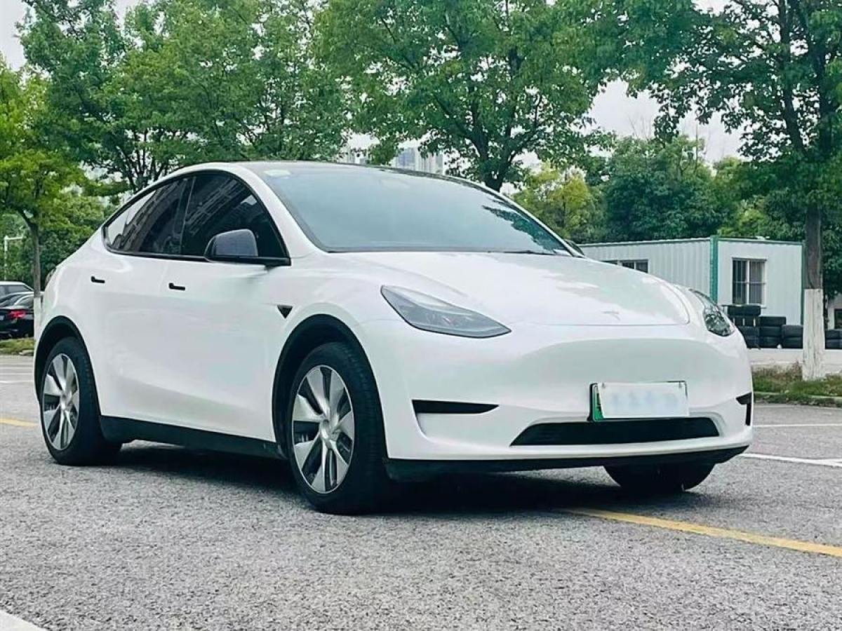 特斯拉 Model 3  2022款 后輪驅(qū)動版圖片