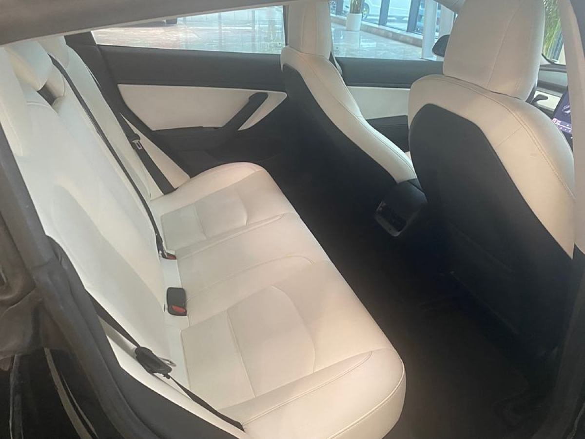 特斯拉 Model 3  2019款 長續(xù)航后驅(qū)版圖片