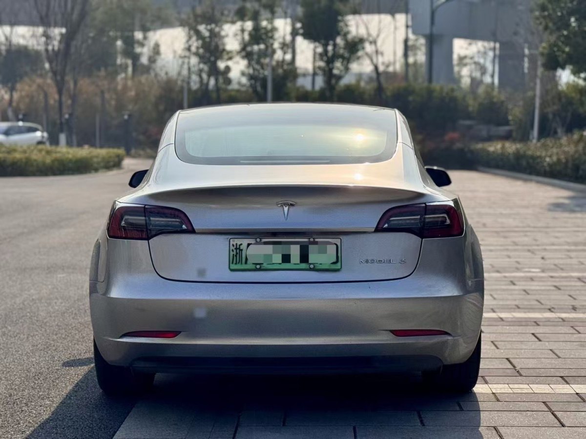 特斯拉 Model 3  2019款 標(biāo)準(zhǔn)續(xù)航后驅(qū)升級版圖片