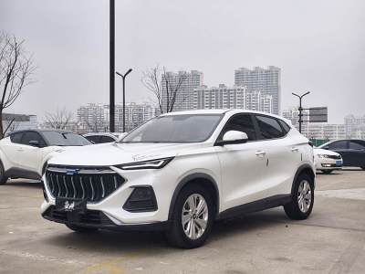 2021年1月 長(zhǎng)安歐尚 長(zhǎng)安歐尚X5 1.6L CVT尊貴型圖片