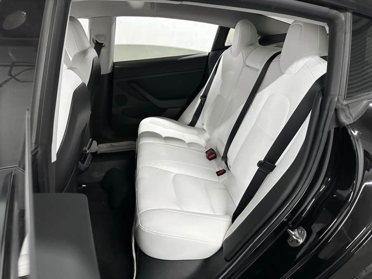特斯拉 Model 3  2021款 改款 標(biāo)準(zhǔn)續(xù)航后驅(qū)升級(jí)版圖片