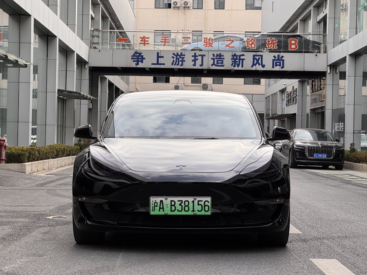 特斯拉 Model 3  2019款 Performance高性能全輪驅(qū)動版圖片