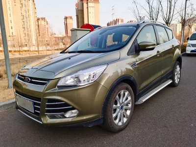 2013年4月 福特 翼虎 1.6L GTDi 兩驅(qū)風(fēng)尚型圖片