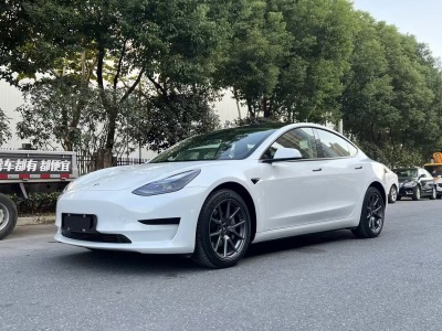 2022年7月 特斯拉 Model 3 后輪驅(qū)動版圖片