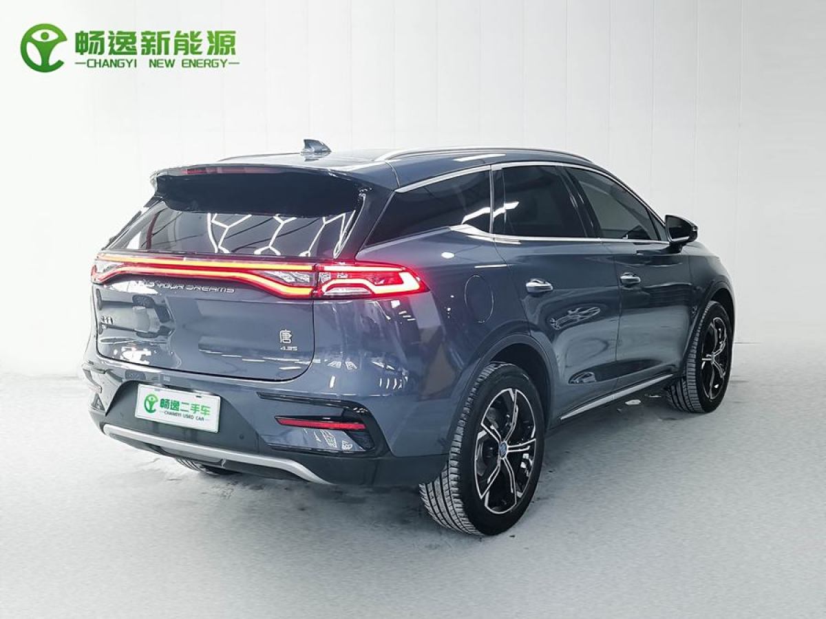 比亞迪 唐新能源  2021款 DM 2.0T 四驅高性能版尊榮型圖片