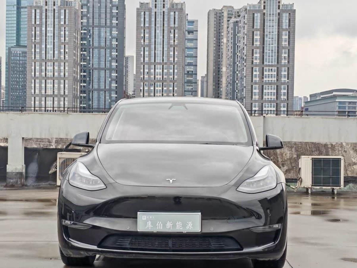 特斯拉 Model Y  2022款 Performance高性能全輪驅(qū)動版圖片