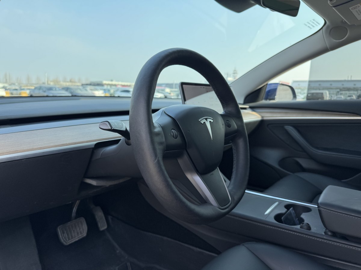 特斯拉 Model 3  2019款 標(biāo)準(zhǔn)續(xù)航后驅(qū)升級(jí)版圖片