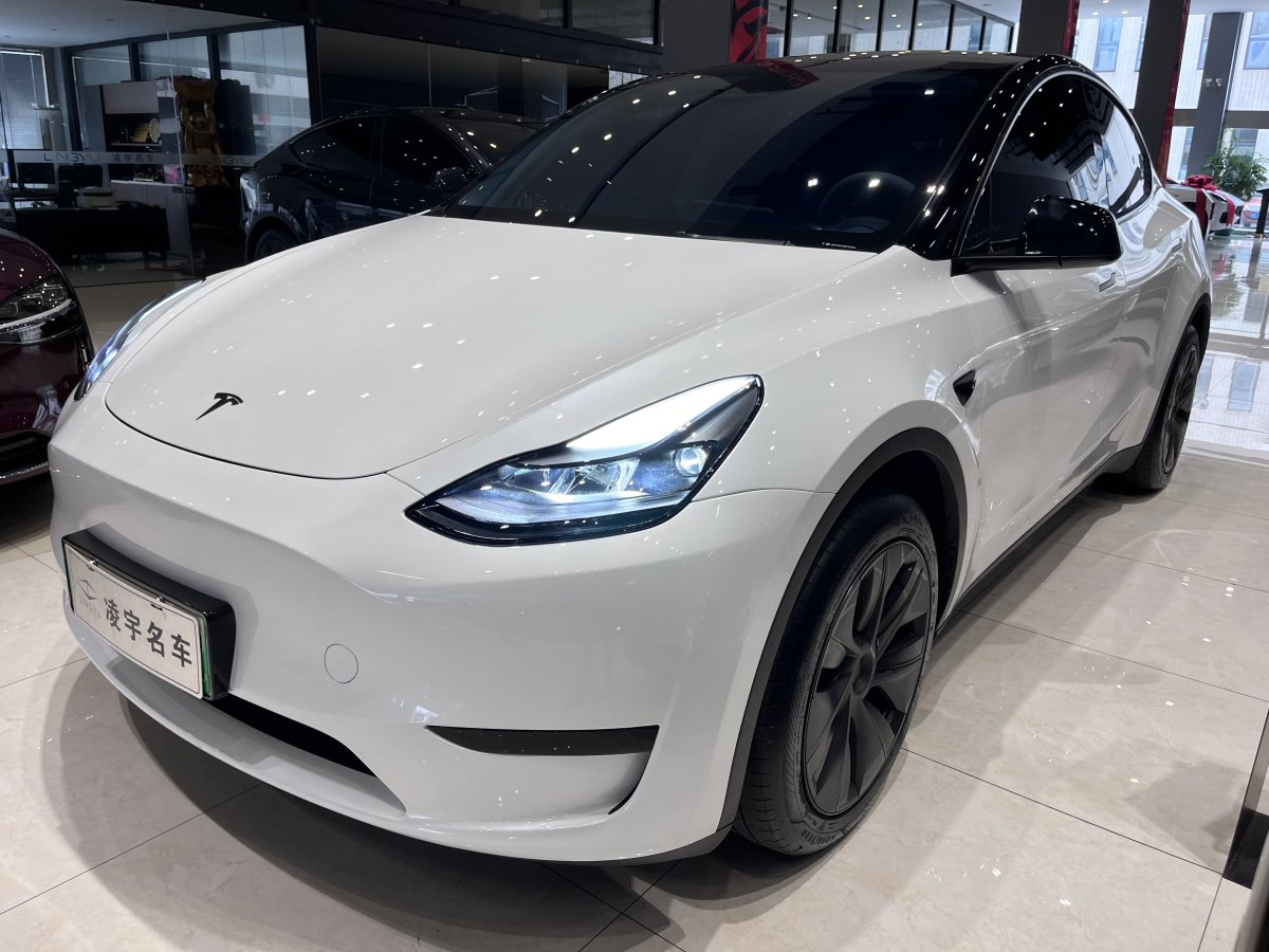 特斯拉 Model Y  2020款 改款 長(zhǎng)續(xù)航后輪驅(qū)動(dòng)版圖片