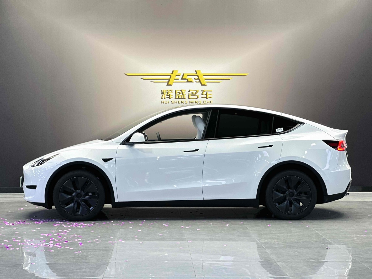 特斯拉 Model 3  2020款 改款 長續(xù)航后輪驅(qū)動版圖片