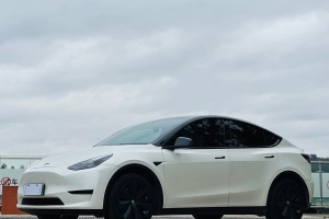 Model Y 特斯拉 改款 后輪驅(qū)動版