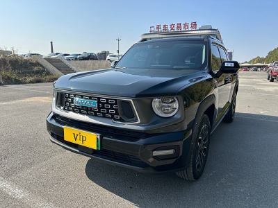 2023年3月 哈弗 哈弗二代大狗新能源 DHT-PHEV 105km 潮電版Plus圖片