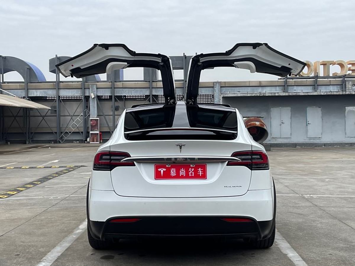 特斯拉 Model X  2019款 長續(xù)航版圖片