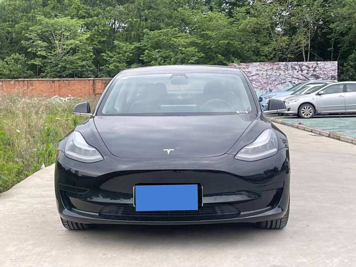 特斯拉 Model 3  2020款 改款 標(biāo)準(zhǔn)續(xù)航后驅(qū)升級(jí)版圖片