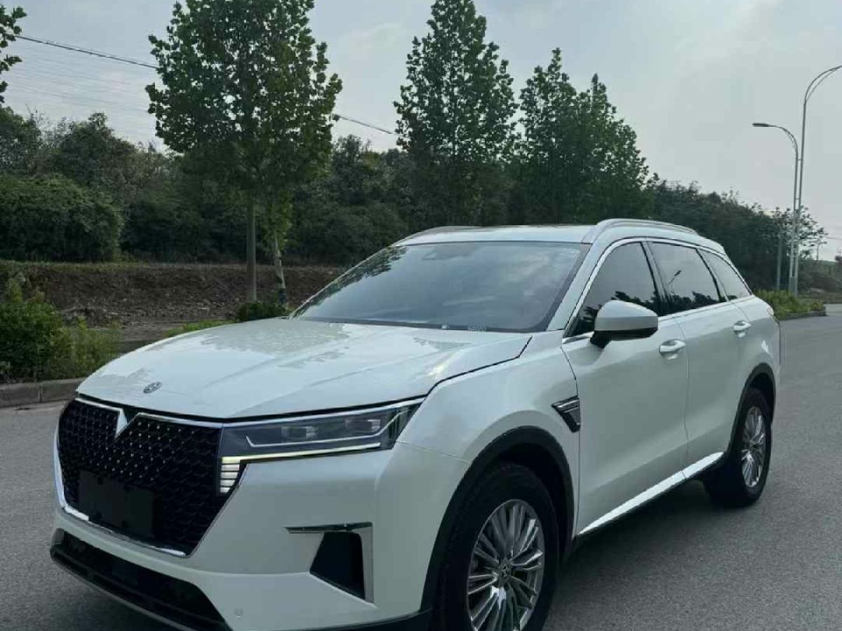 啟辰 啟辰大V  2022款 260T 定制版?愛豆圖片