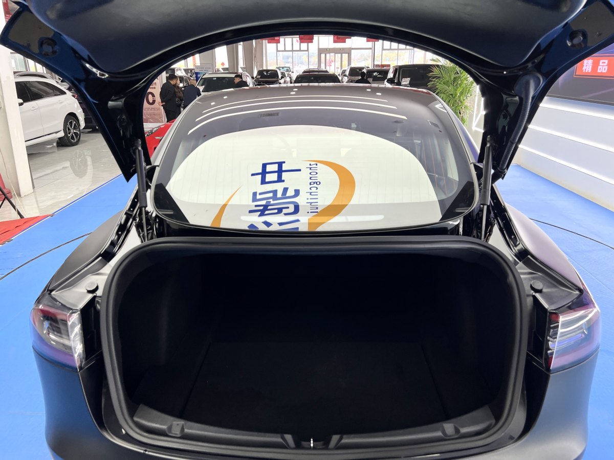 特斯拉 Model 3  2019款 長續(xù)航全輪驅動版圖片