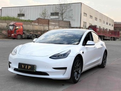 2021年5月 特斯拉 Model 3 標準續(xù)航后驅(qū)升級版 3D6圖片