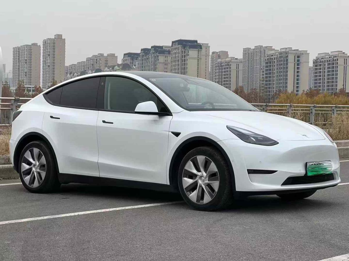 特斯拉 Model Y  2024款 Performance高性能版圖片