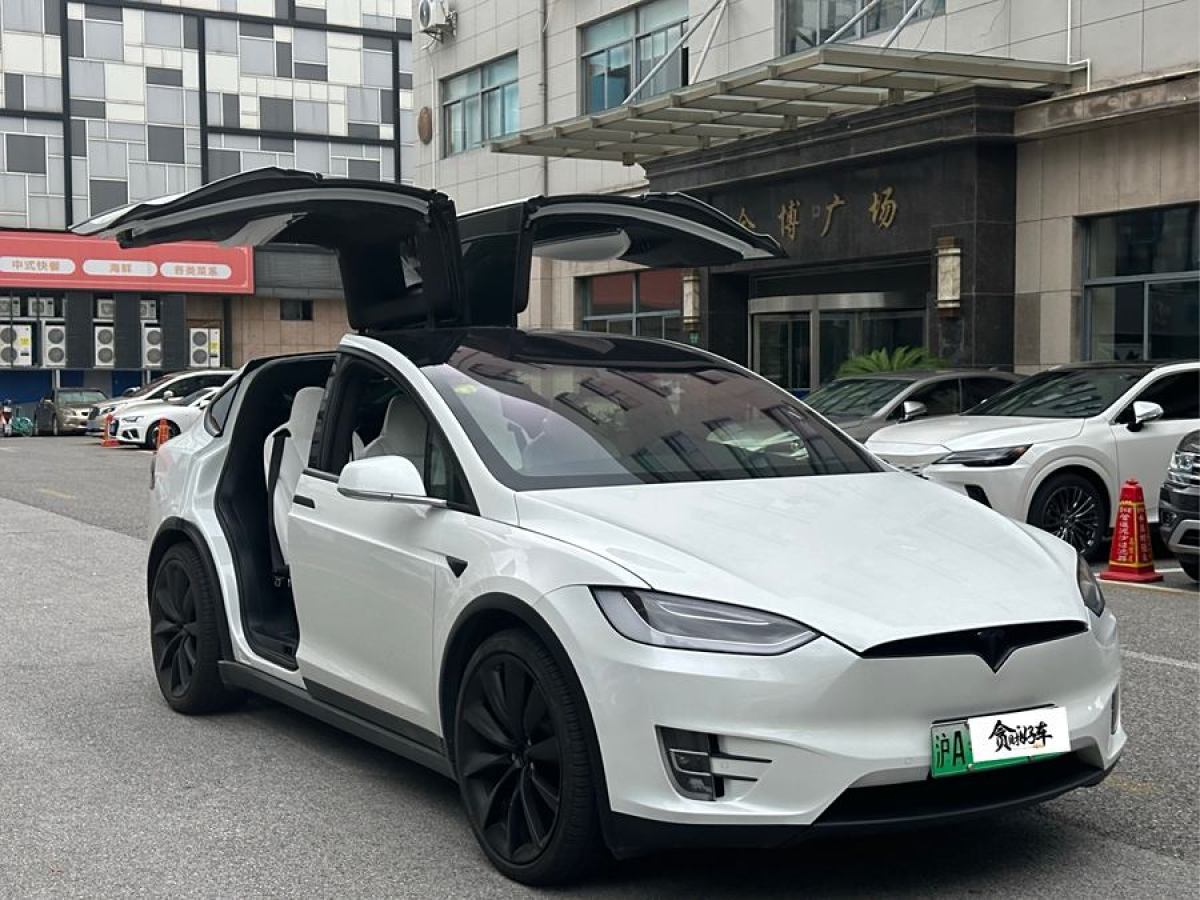 特斯拉 Model X  2017款 Model X 100D 長續(xù)航版圖片