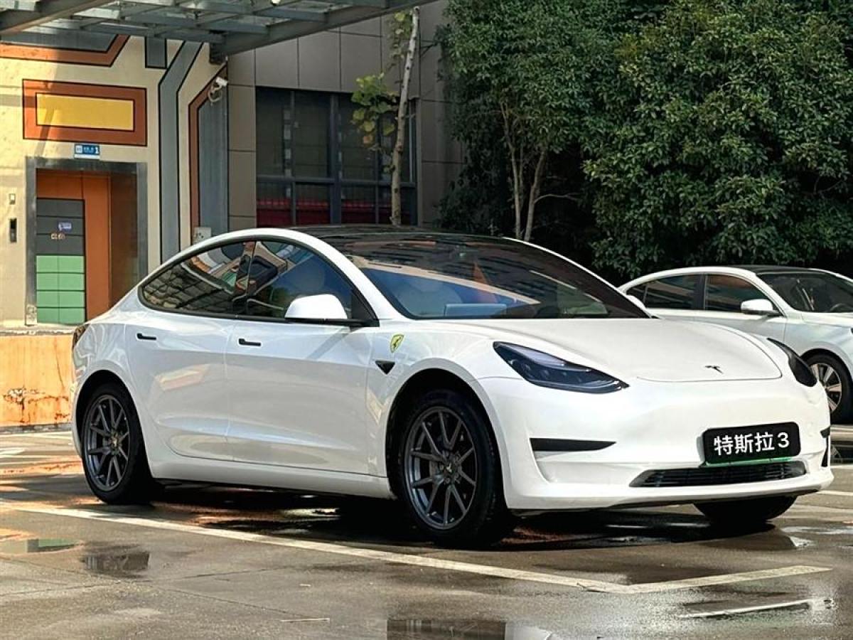 2020年1月特斯拉 Model 3  2020款 改款 標(biāo)準(zhǔn)續(xù)航后驅(qū)升級(jí)版