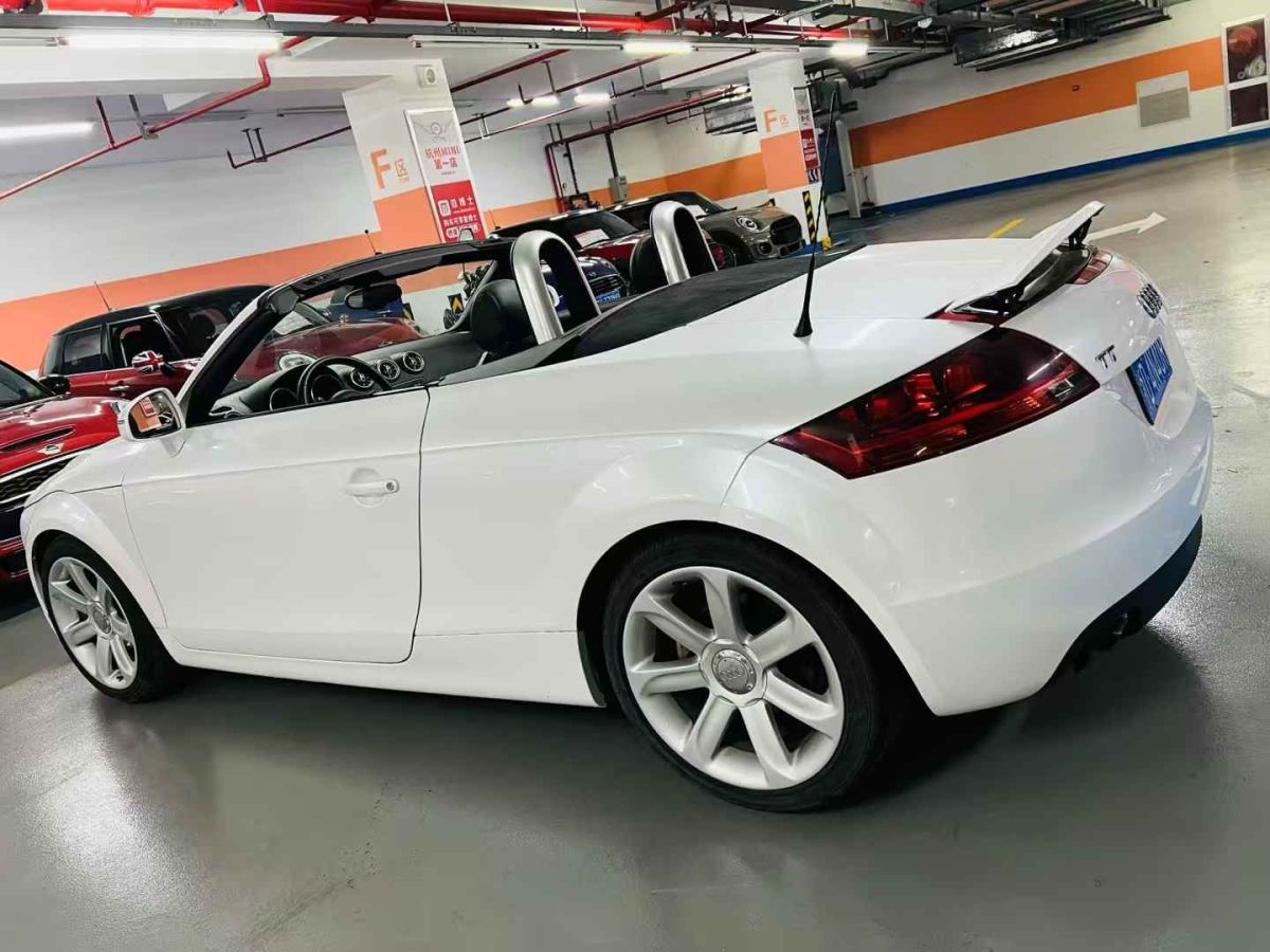 奧迪 奧迪TT  2010款 TT 2.0TFSI典藏版圖片