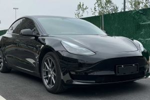 Model S 特斯拉 三電機(jī)全輪驅(qū)動(dòng) Plaid版