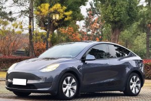 Model 3 特斯拉 长续航焕新版 双电机全轮驱动