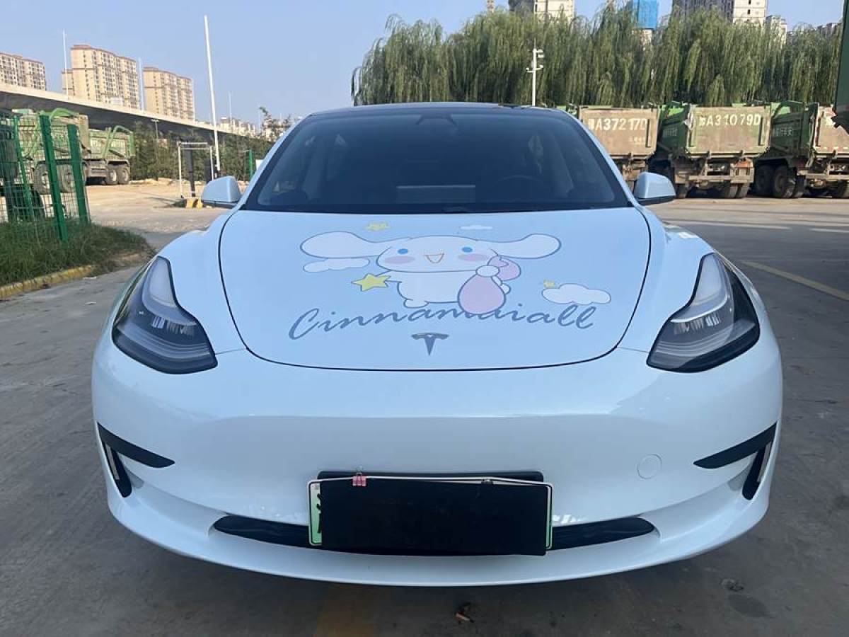 特斯拉 Model Y  2020款 改款 標(biāo)準(zhǔn)續(xù)航后驅(qū)升級版圖片