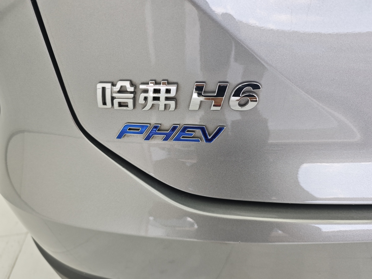 哈弗 哈弗H6新能源  2023款 DHT-PHEV 110KM 悅行版圖片