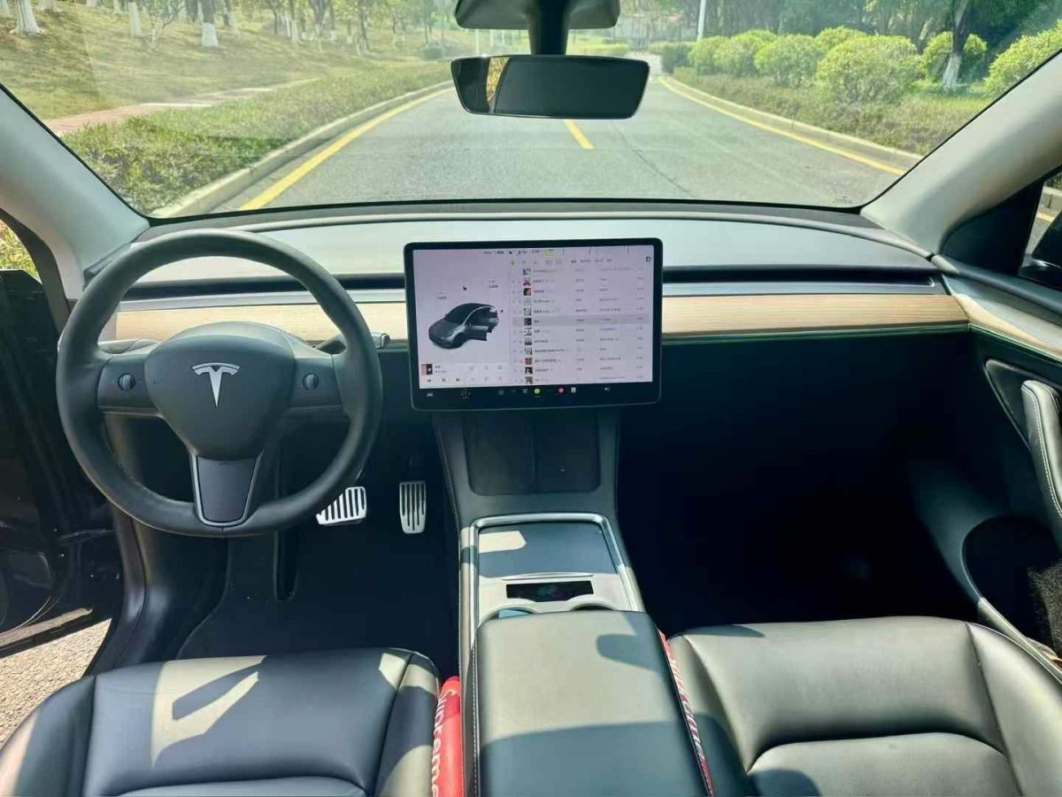 特斯拉 Model 3  2022款 Performance高性能全輪驅(qū)動版圖片