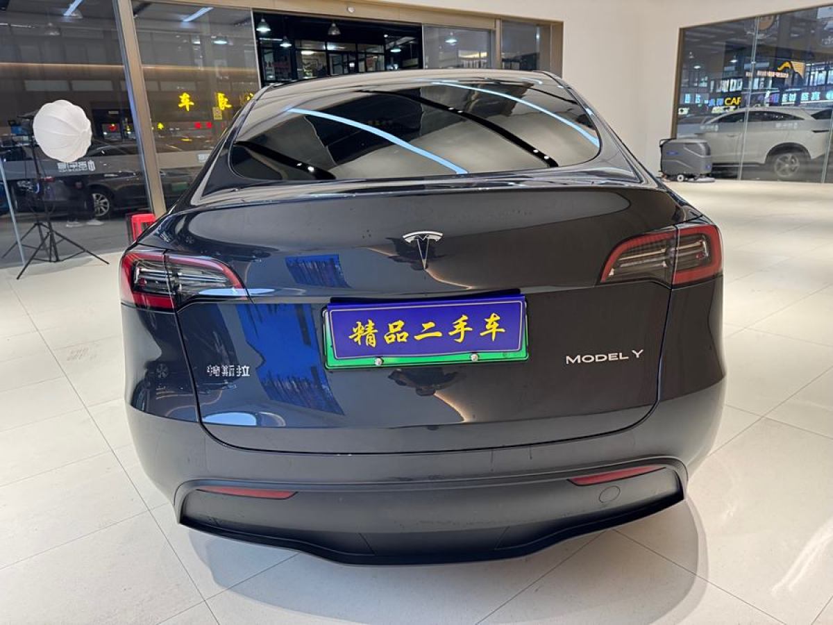 特斯拉 Model 3  2020款 改款 長續(xù)航后輪驅(qū)動(dòng)版圖片