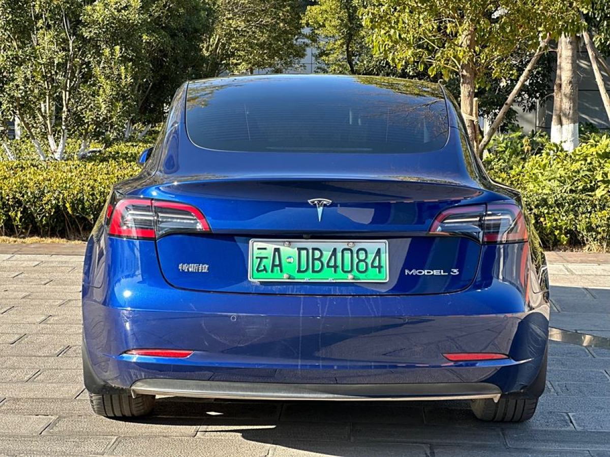 特斯拉 Model 3  2021款 標(biāo)準續(xù)航后驅(qū)升級版 3D6圖片