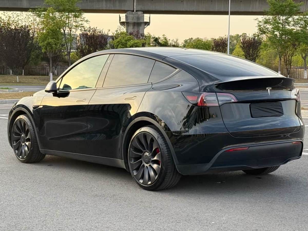 特斯拉 Model Y  2022款 Performance高性能全輪驅(qū)動(dòng)版圖片
